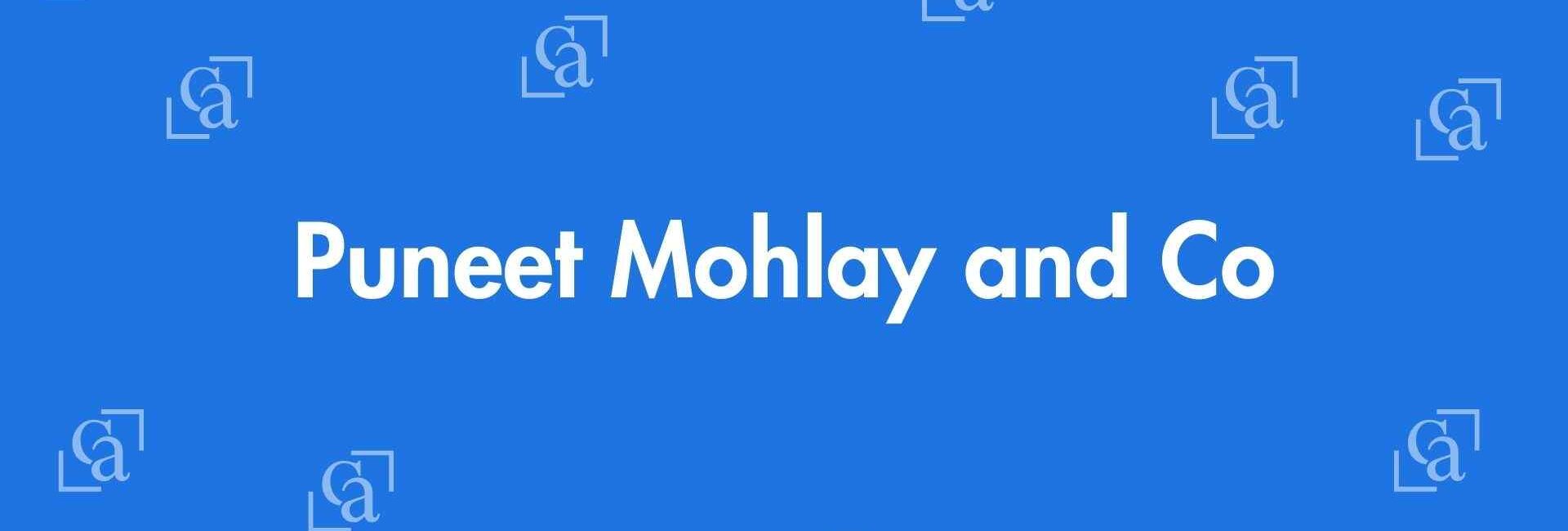Puneet Mohlay and Co - Chartered Accountants in Krishna Nagar, Delhi - Experienced Chartered Accountants Delhi