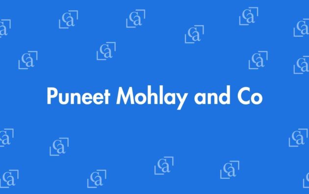 Puneet Mohlay and Co - Chartered Accountants in Krishna Nagar, Delhi - Experienced Chartered Accountants Delhi
