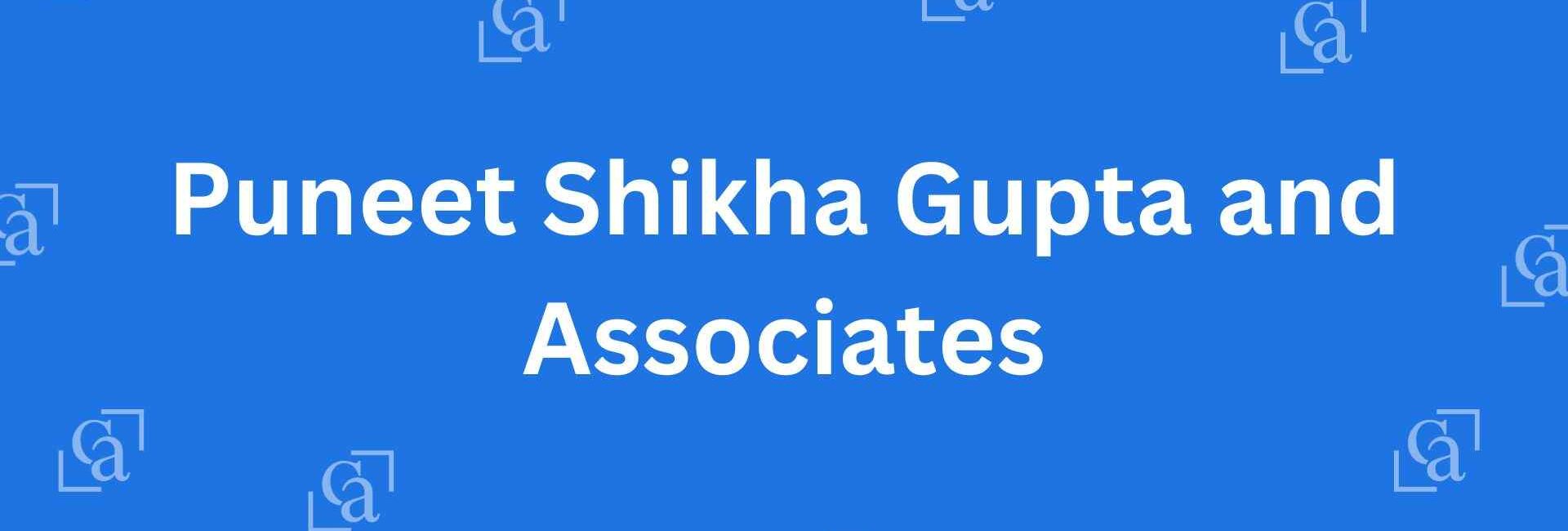 Puneet Shikha Gupta and Associates - Chartered Accountants in Malviya Nagar, Delhi - Experienced Chartered Accountants Delhi