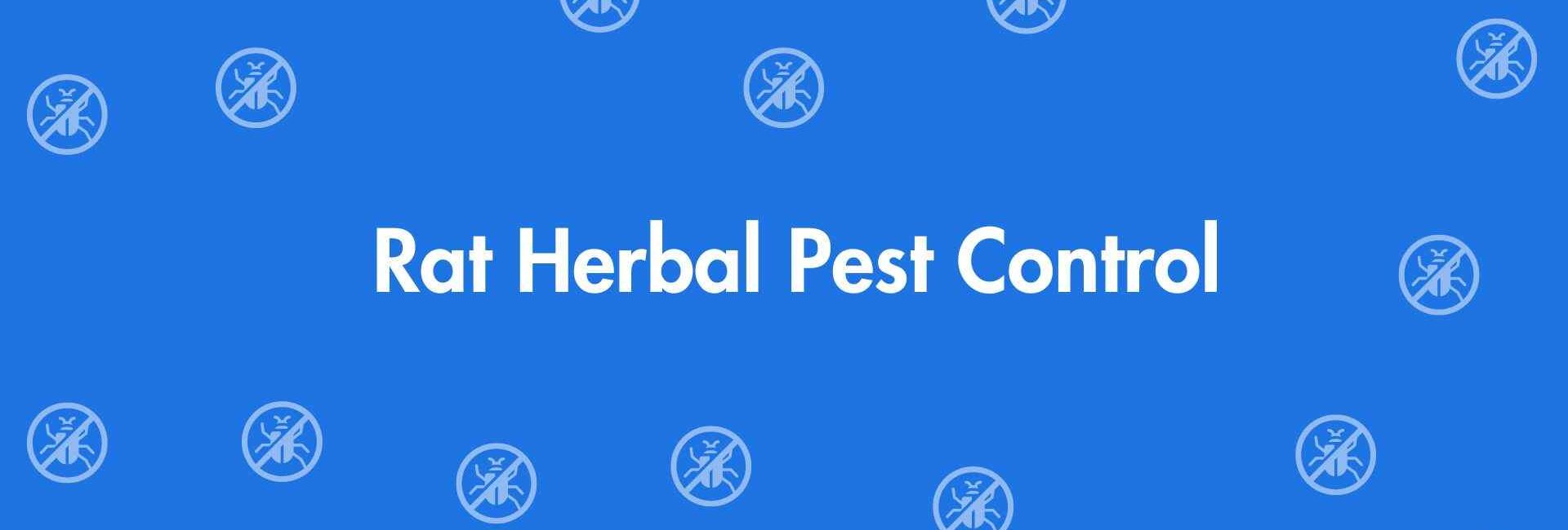 Rat Herbal Pest Control - Pest Control Services in Dwarka, Delhi - Pest Control Experts in Delhi
