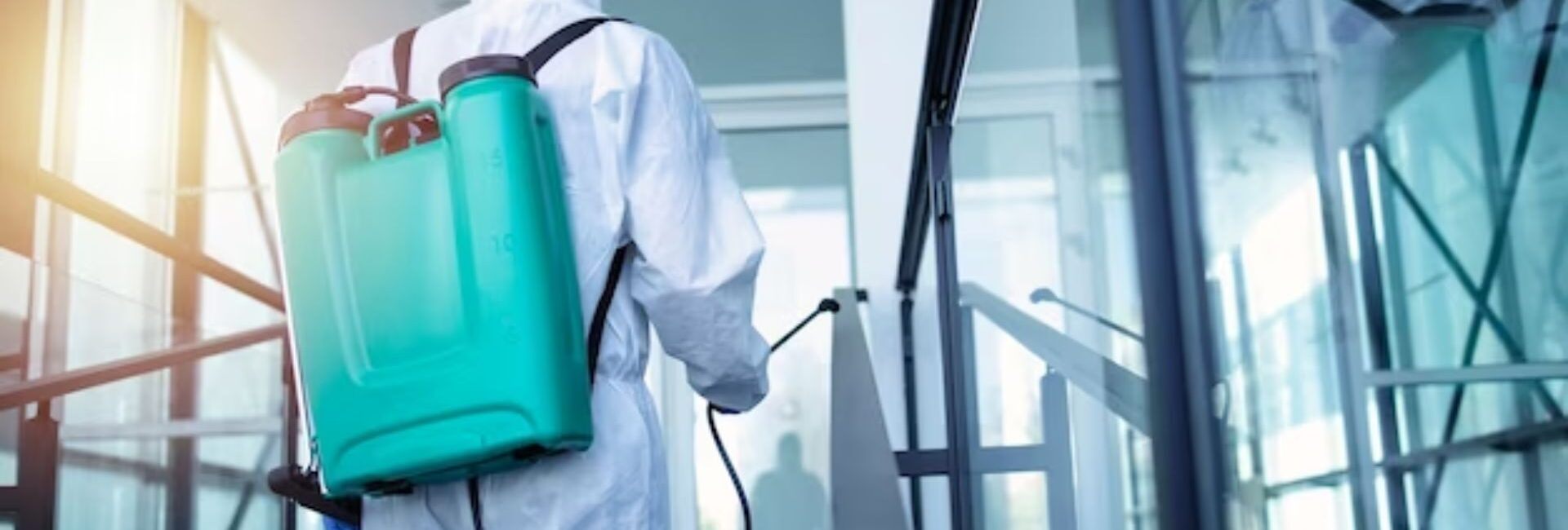 Rat Pest Control Service - Pest Control Service Provider in Laxmi Nagar, Delhi - Termite Control Services in Delhi