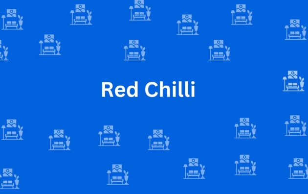Red Chilli - Best Furniture Service Dealer in Lajpat Nagar, Delhi - Furniture Distributors in Delhi