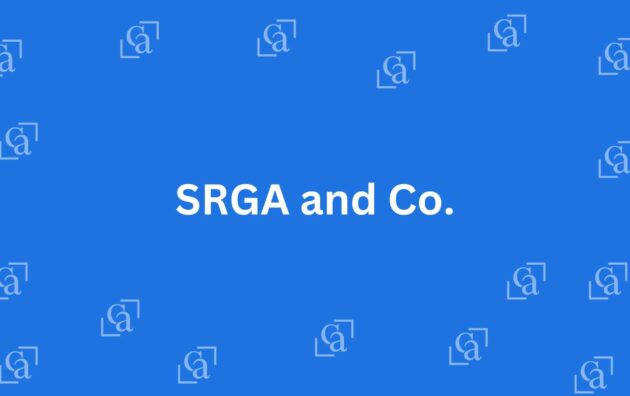 SRGA and Co. - Chartered Accountants in Malviya Nagar, Delhi - Experienced Chartered Accountants in Delhi