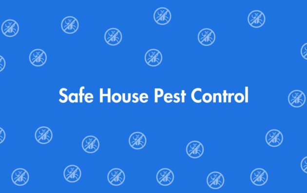 Safe House Pest Control - Pest Control Services in Dwarka, Delhi - Pest Control Experts in Delhi