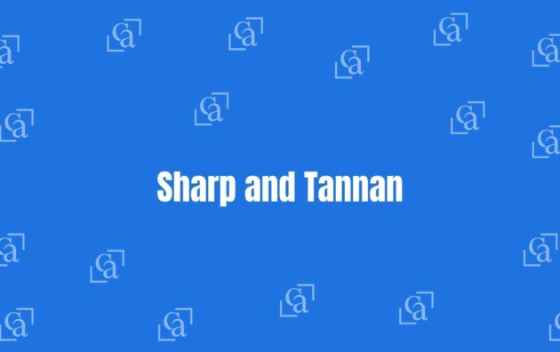 Sharp and Tannan - Best Chartered Accountants in Nehru Place Delhi - Financial Experts in Delhi
