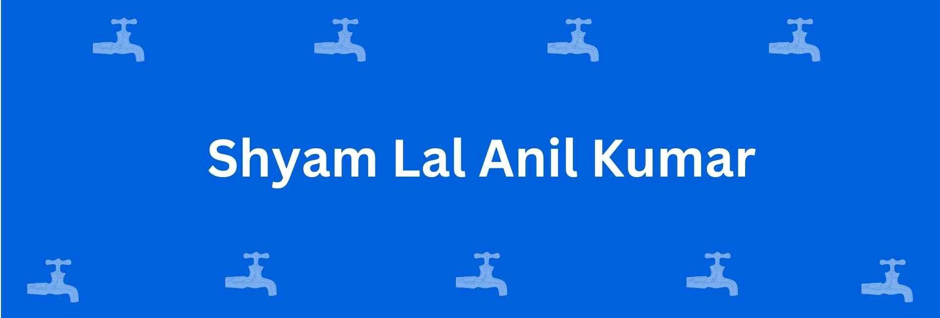 Shyam Lal Anil Kumar - Best Sanitary Services in Chandni Chowk, Delhi - Sanitary Product Dealer in Delhi
