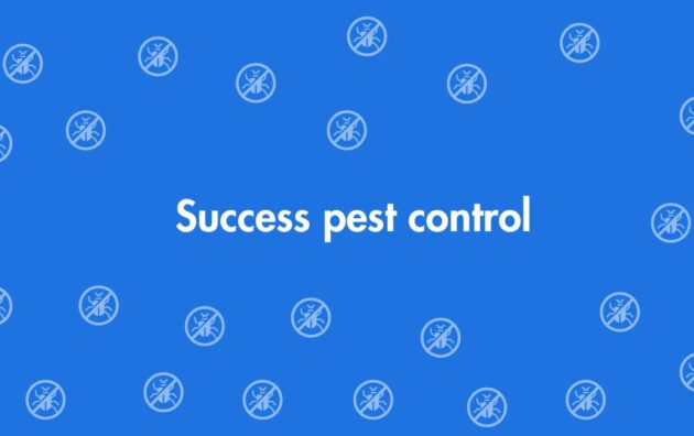 Success pest control - Pest Control Services in Dwarka, Delhi - Pest Control Experts in Delhi
