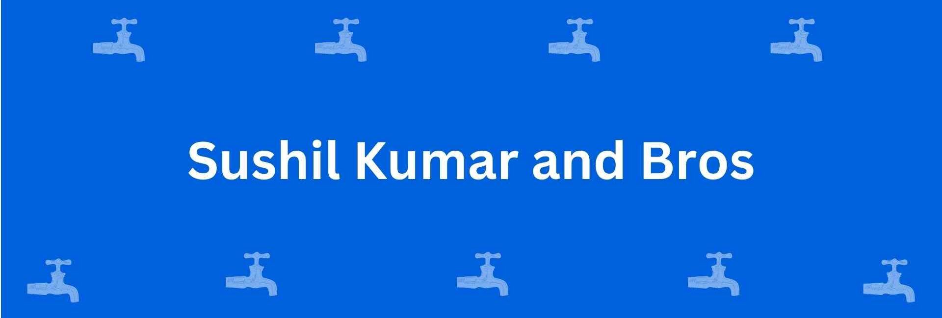 Sushil Kumar and Bros - Best Sanitary Services in Chandni Chowk, Delhi - Sanitary Product Dealer in Delhi