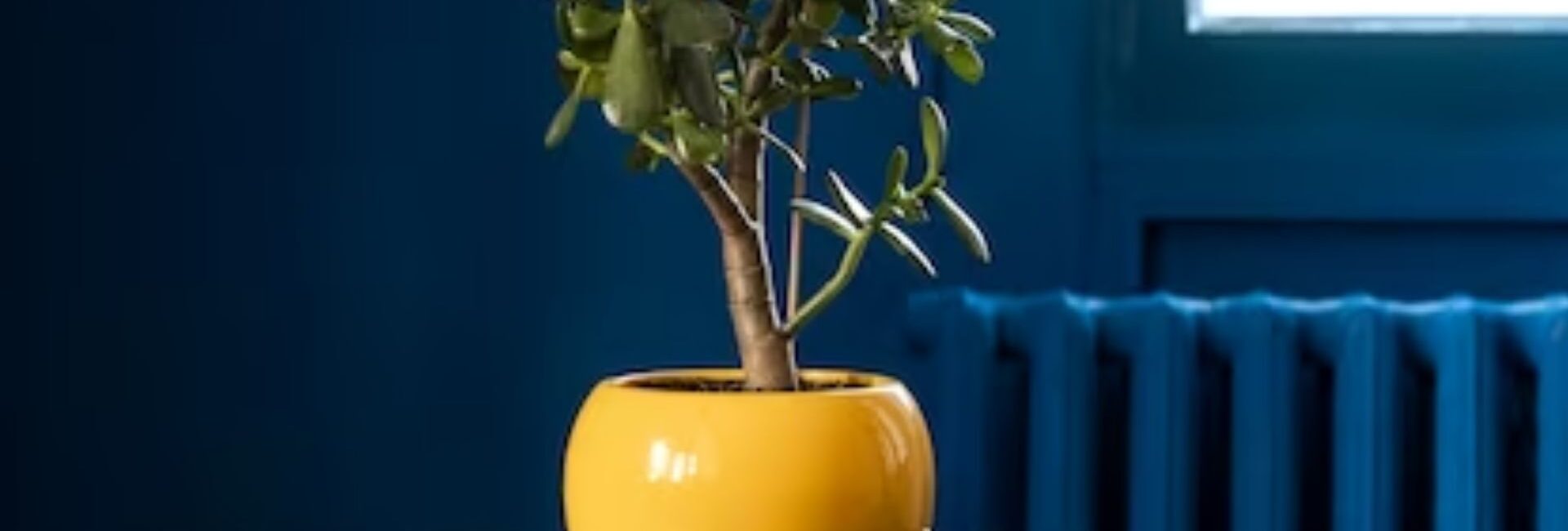The Decor Company - Best Home Decor Services in Dwarka, Delhi - Home Decor Service Provider in Delhi