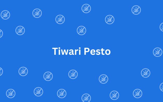 Tiwari Pesto - Pest Control Services in Rohini Delhi - Pest Control Service Provider in Delhi