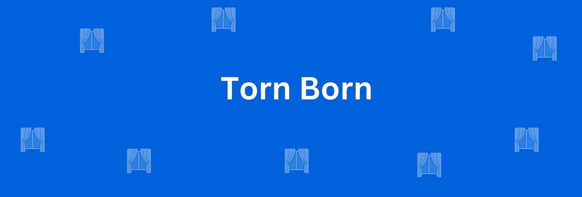 Torn Born - Interior Designers in Paschim Vihar Delhi - Best Home Interiors Design in Delhi