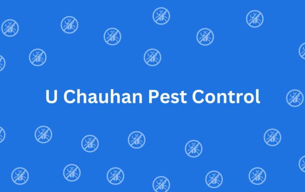 U Chauhan Pest Control - Pest Control Services in Rohini Delhi - Pest Control Service Provider in Delhi