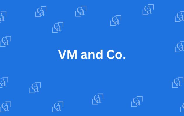 VM and Co. - Chartered Accountants in Chandni Chowk, Delhi - Experienced Chartered Accountants in Delhi