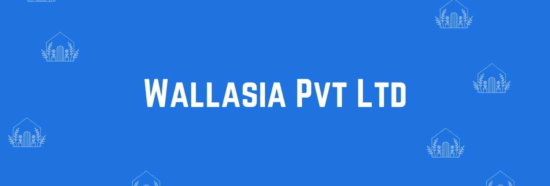 Wallasia Pvt Ltd - Home Decor Dealers in Malviya Nagar, Delhi - Home Decor in Delhi