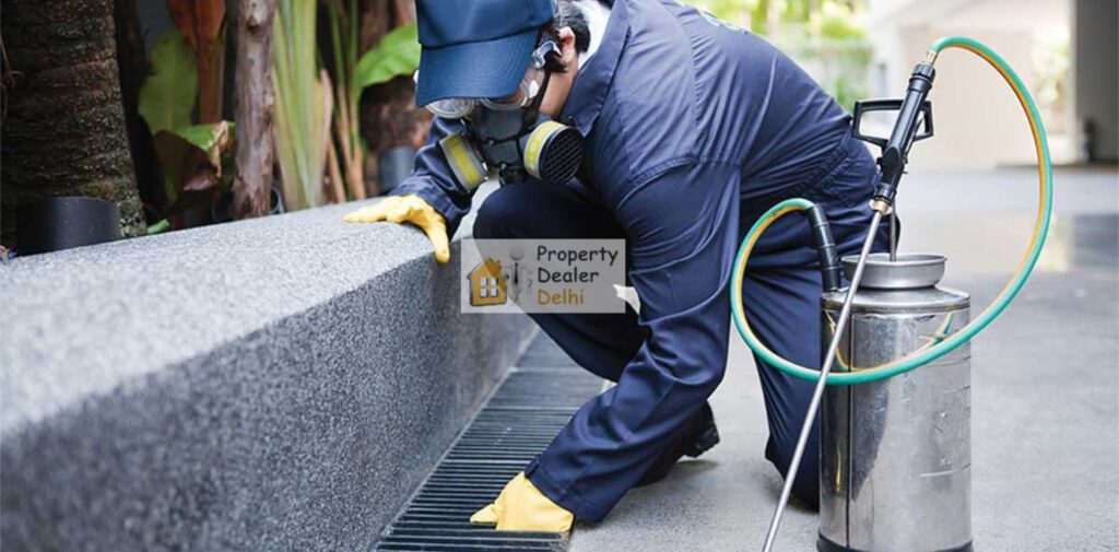 How Does Our Pest Control Service Work