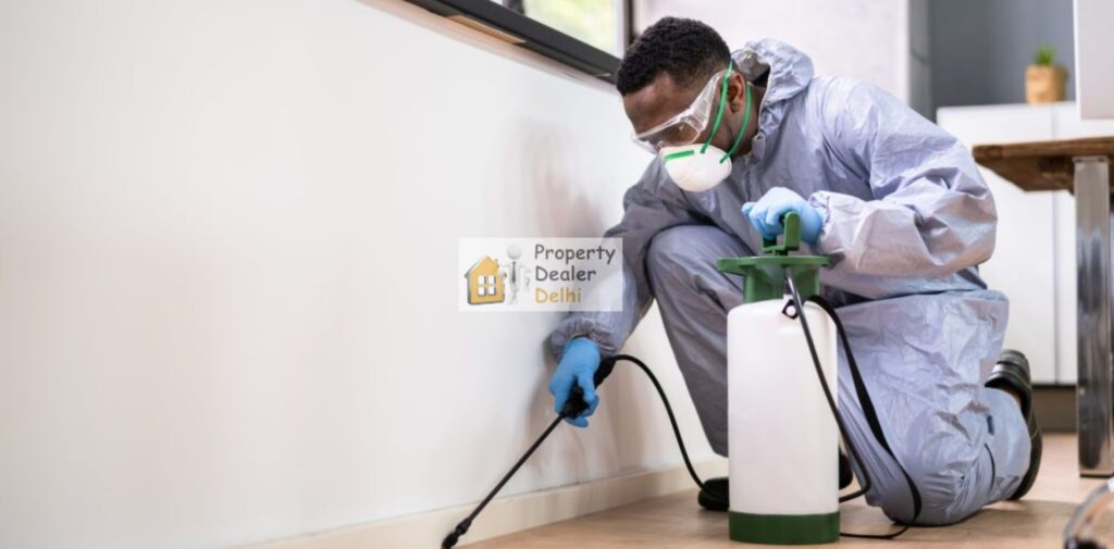 Pest-Control-Services-in-Delhi-Keep-Your-Home-Safe-and-Healthy-What-Do-We-Offer