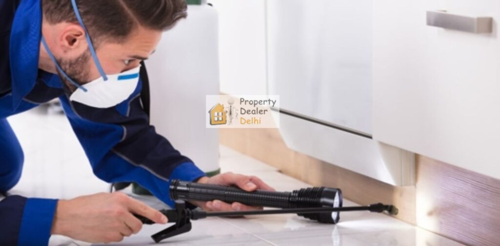 Pest Control and Regular Inspections