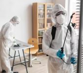 Akshay Pesticides - Pest Control Service Provider in Laxmi Nagar, Delhi - Termite Control Services in Delhi