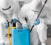 Ant Pest Control Service - Pest Control Service Provider in Laxmi Nagar, Delhi - Termite Control Services in Delhi