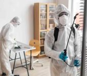 Bharti Pest Alliance Services - Pest Control Experts in Rohini Delhi - Rodent Control Services in Delhi