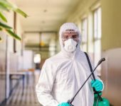 City Pest Controls Pvt.Ltd. - Pest Control Service Provider in Laxmi Nagar, Delhi - Termite Control Services in Delhi