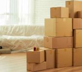 Elite Packers And Movers - Packers and Movers in Dwarka, Delhi - Super Packers and Movers Services in Delhi