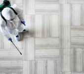 Gorav Pest Control Service - Termite Control Services in Rohini Delhi - Rodent Control Services in Delhi