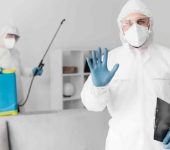 Herbal Pest Control - Termite Control Services in Rohini Delhi - Rodent Control Services in Delhi