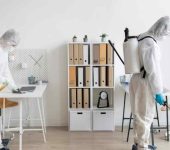 HiCare Services Private Limited - Termite Control Services in Rohini Delhi - Rodent Control Services in Delhi