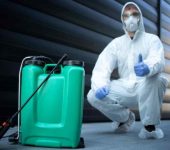 Home Care Services - Termite Control Services in Rohini Delhi - Rodent Control Services in Delhi