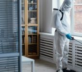 Honesty Pest Control Services - Pest Control Service Provider in Uttam Nagar, Delhi - Termite Control Services in Delhi
