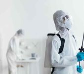 Indian Pest Control Company - Pest Control Experts in Nehru Place Delhi - Rodent Control Services in Delhi