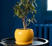 Jagdish Store - Home Decor Service Provider in Lajpat Nagar Delhi - Home Decor Dealers in Delhi