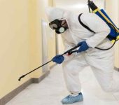 New Om Pest Control Paschim Vihar - Pest Control Experts in Paschim Vihar Delhi - Termite Control Services in Delhi
