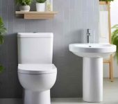 Parrot Sanitary - Best Sanitary Services in Chandni Chowk, Delhi - Sanitary Dealer in Delhi