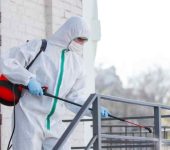 Perfect Pest Control Services - Pest Control Service Provider in Connaught Place, Delhi - Termite Control Services in Delhi