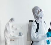 Pestico - Pest Control Service Provider in Uttam Nagar, Delhi - Termite Control Services in Delhi