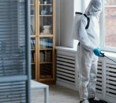 Prajapati Pest Control Service - Pest Control Experts in Paschim Vihar Delhi - Termite Control Services in Delhi
