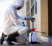 Priti Malik Pest Control Service - Pest Control Service Provider in Connaught Place, Delhi - Termite Control Services in Delhi