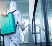 Rat Pest Control Service - Pest Control Service Provider in Laxmi Nagar, Delhi - Termite Control Services in Delhi