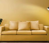 Red Chilli - Furniture Distributors in Lajpat Nagar, Delhi - Top Furniture Shop in Delhi