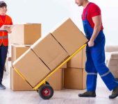 Relocate Packers and Movers - Packers and Movers in Dwarka, Delhi - Super Packers and Movers Services in Delhi