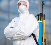 Rubicon Services - Pest Control Service Provider in Connaught Place, Delhi - Termite Control Services in Delhi