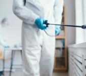 Rubicon Services Delhi - Pest Control Service Provider in Malviya Nagar, Delhi - Termite Control Services in Delhi