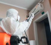 SK Pest Control - Termite Control Services in Rohini Delhi - Rodent Control Services in Delhi