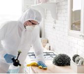 Sharma Super Pest Control Services - Pest Control Service Provider in Laxmi Nagar, Delhi - Termite Control Services in Delhi