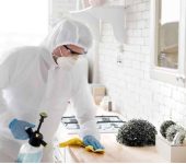 Sk Home Services - Termite Control Services in Rohini Delhi - Rodent Control Services in Delhi