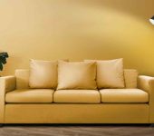 Studio Pepperfry - Furniture Distributors in Dwarka, Delhi - Top Furniture Shop in Delhi