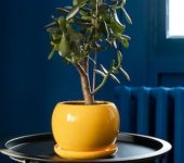 The Decor Company - Best Home Decor Services in Dwarka, Delhi - Home Decor Service Provider in Delhi