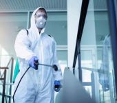 Truly Pest Control - Pest Control Experts in Paschim Vihar Delhi - Termite Control Services in Delhi